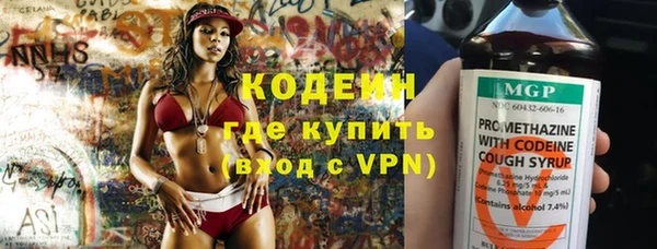дживик Бронницы