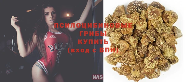 дживик Бронницы