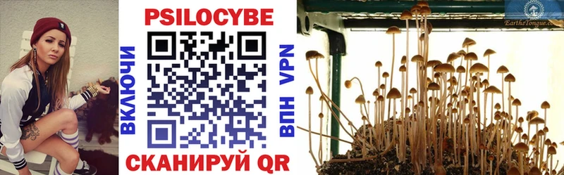где найти наркотики Горячий Ключ Галлюциногенные грибы Psilocybine cubensis